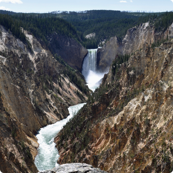 The Department of the Interior